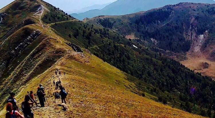 sclerosi multipla: passo dopo passo